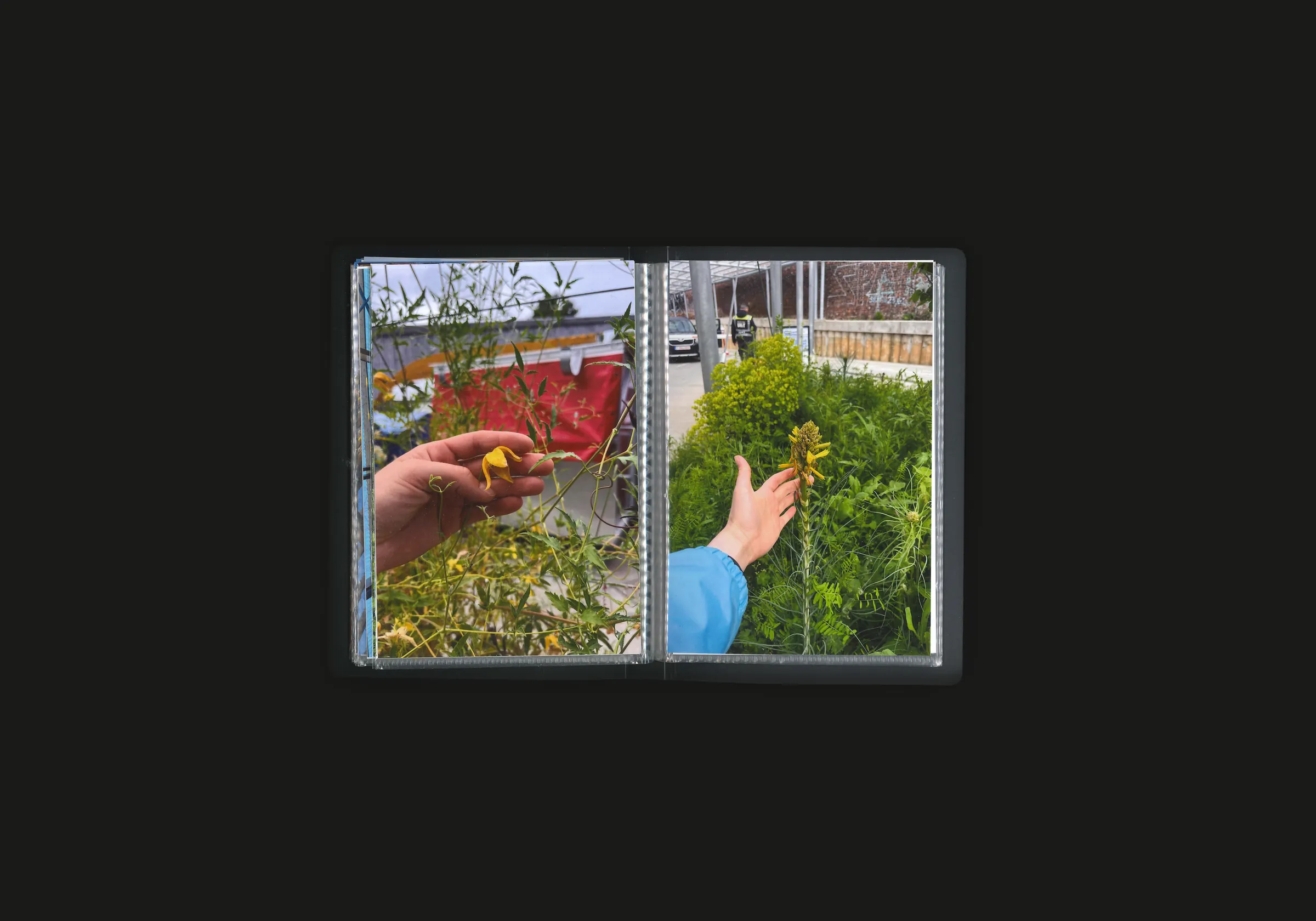 Project image